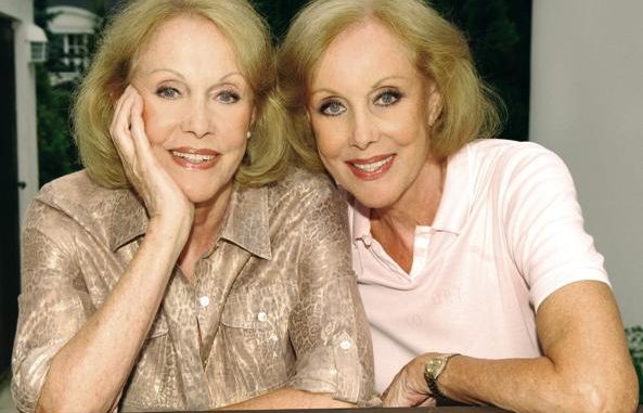 WhatsApp Image 2025-11-17 at 16.19.19