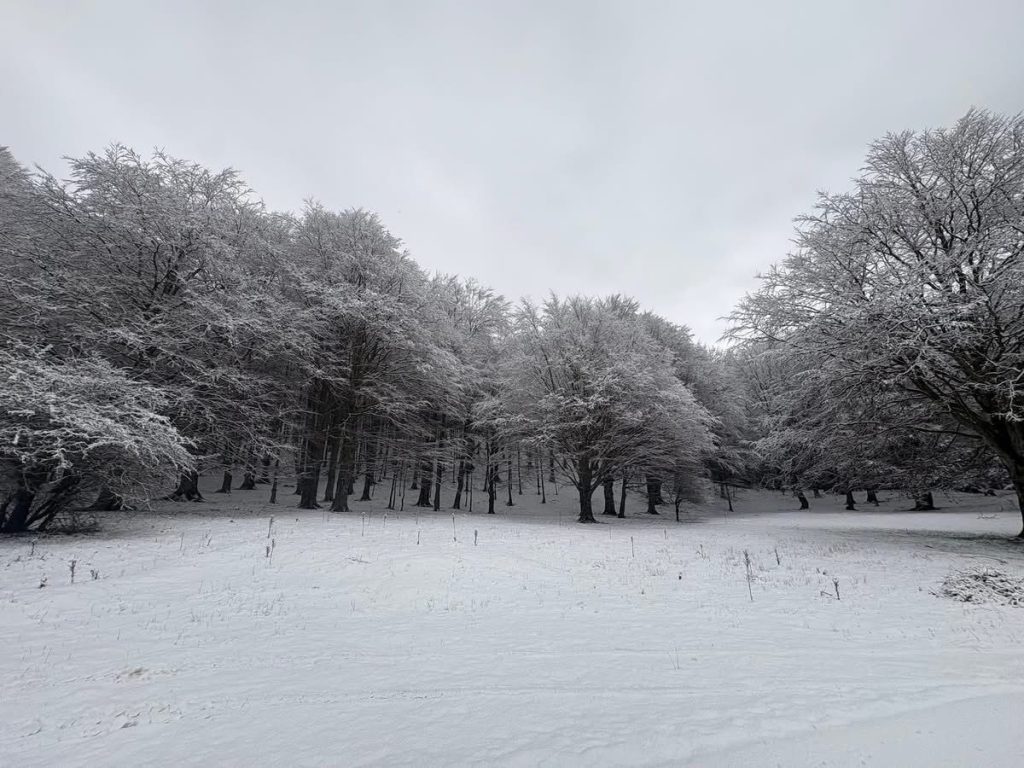 Laceno, l’inverno fa il suo ingresso: prima neve sull’altopiano e sui Monti Picentini(foto)
