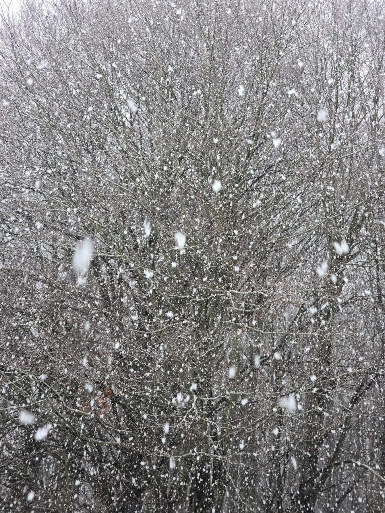 Laceno, l’inverno fa il suo ingresso: prima neve sull’altopiano e sui Monti Picentini(foto)