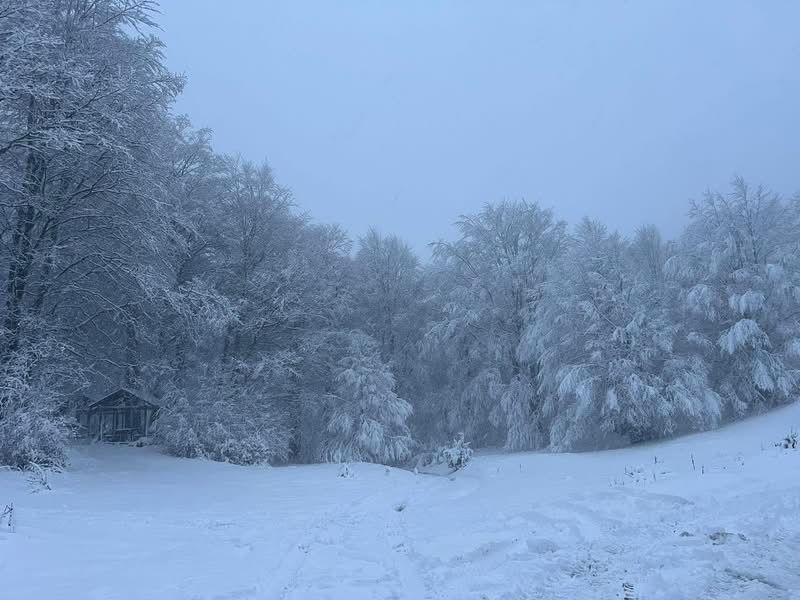 Neve a Piano di Pecora: Colliano si risveglia in un silenzio d’inverno