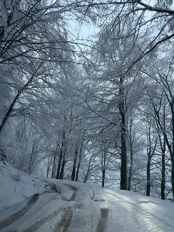 Neve a Piano di Pecora: Colliano si risveglia in un silenzio d’inverno