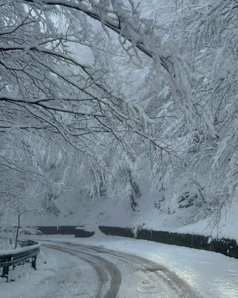 Neve a Piano di Pecora: Colliano si risveglia in un silenzio d’inverno