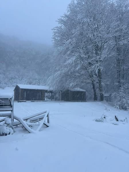 Neve a Piano di Pecora: Colliano si risveglia in un silenzio d’inverno