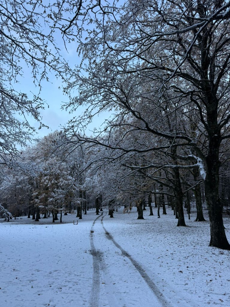La neve torna a Mugnano del Cardinale: Campo di Spina si risveglia imbiancato