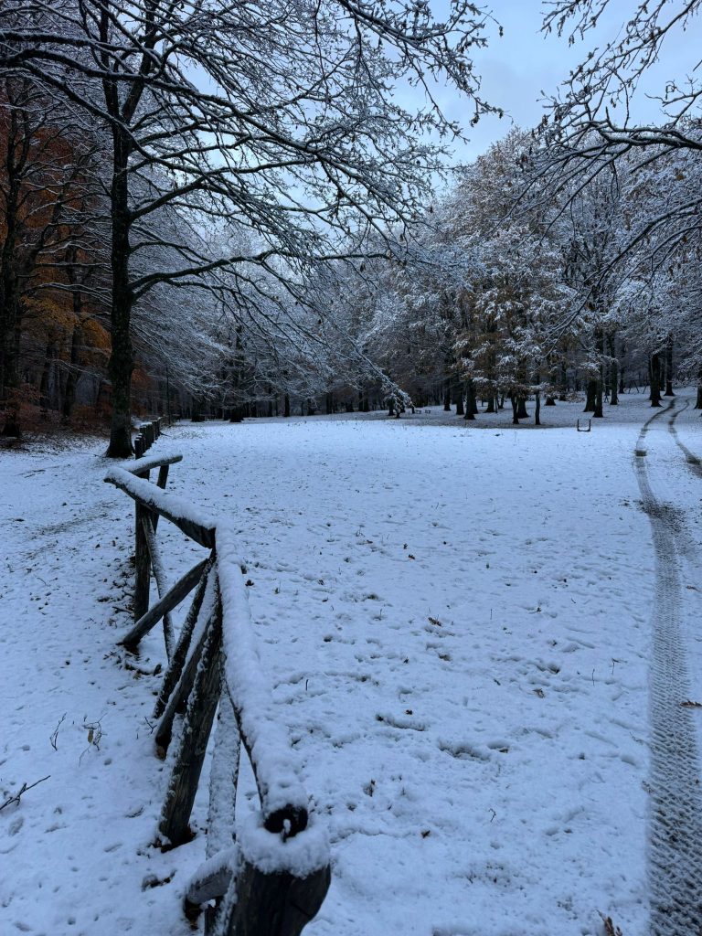 La neve torna a Mugnano del Cardinale: Campo di Spina si risveglia imbiancato