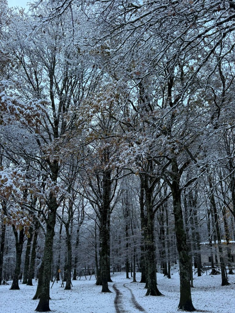 La neve torna a Mugnano del Cardinale: Campo di Spina si risveglia imbiancato
