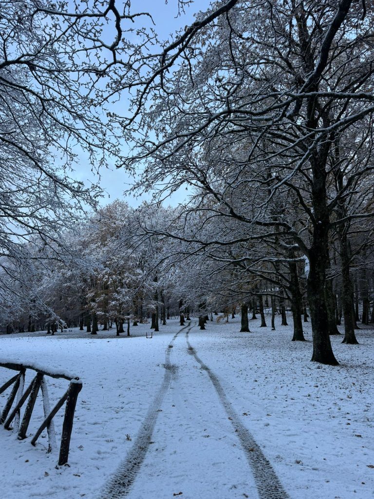 La neve torna a Mugnano del Cardinale: Campo di Spina si risveglia imbiancato