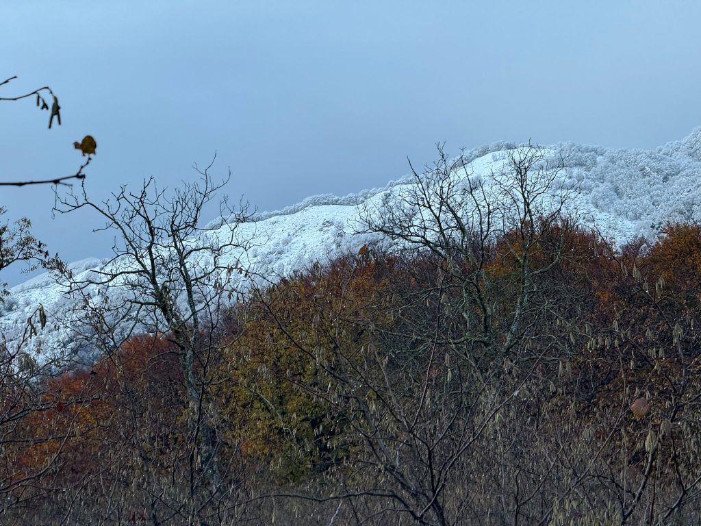 La neve torna a Mugnano del Cardinale: Campo di Spina si risveglia imbiancato