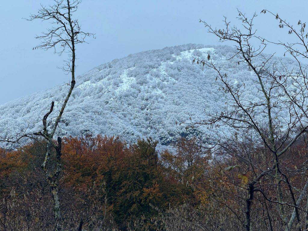 La neve torna a Mugnano del Cardinale: Campo di Spina si risveglia imbiancato