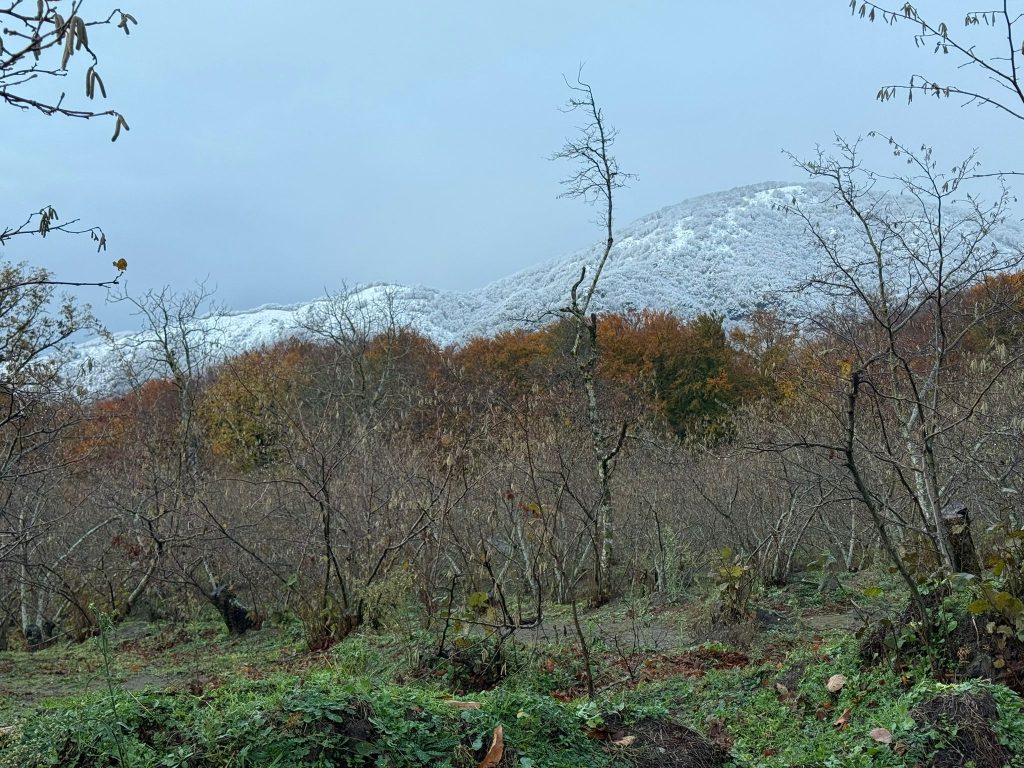 La neve torna a Mugnano del Cardinale: Campo di Spina si risveglia imbiancato