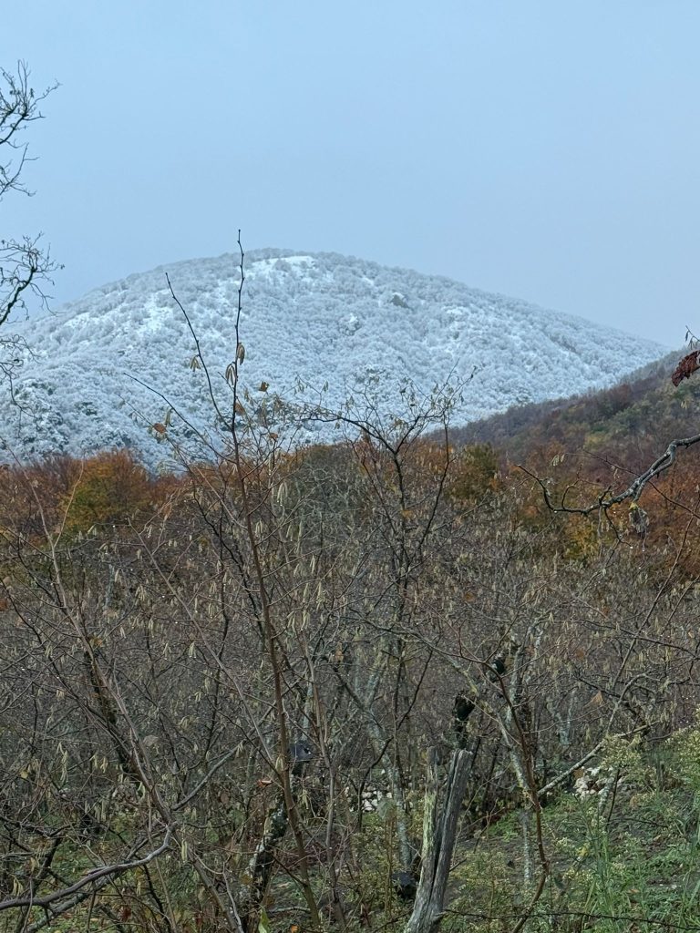 La neve torna a Mugnano del Cardinale: Campo di Spina si risveglia imbiancato