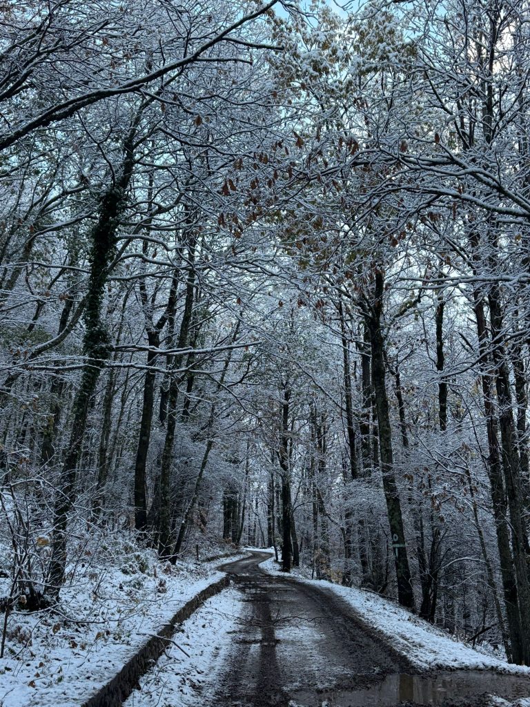 La neve torna a Mugnano del Cardinale: Campo di Spina si risveglia imbiancato
