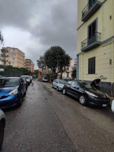 Bagnoli, albero crolla sulle auto in sosta lungo Viale Campi Flegrei: paura ma nessun ferito