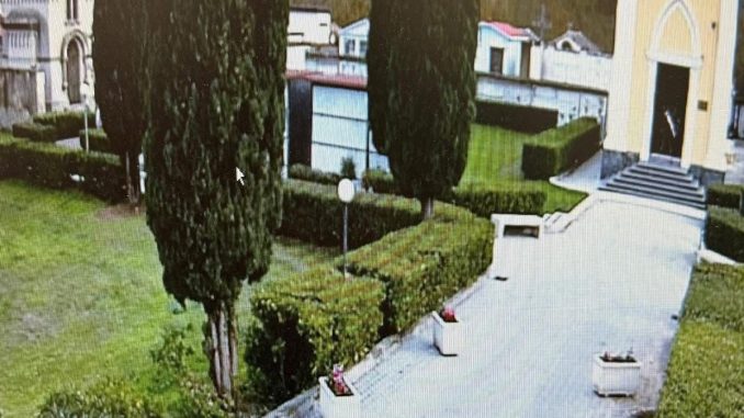 WhatsApp Image 2025-11-28 at 14.21.43