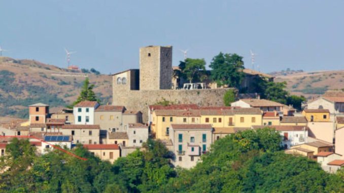 WhatsApp Image 2025-11-28 at 23.47.09