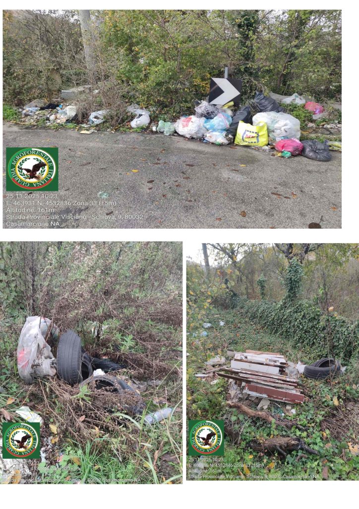Rifiuti pericolosi abbandonati lungo la Provinciale Visciano–Schiava: la Guardia Agroforestale segnala e chiede interventi urgenti