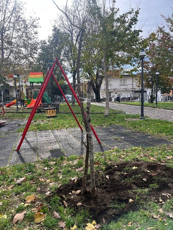 Sirignano celebra la Giornata dell’Albero: gli alunni della Manzoni protagonisti di un gesto che lascia radici nel futuro