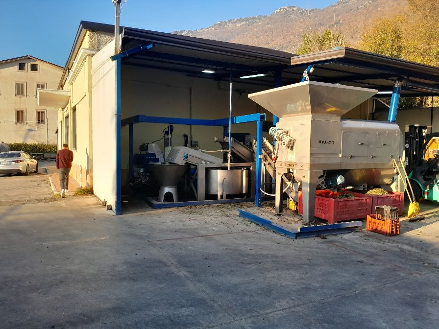 Sannio, terminata la campagna olivicola 2025, per la produzione dell’olio Samnium Sapori Sanniti. Sannio, terminata la campagna olivicola 2025, per la produzione dell’olio Samnium Sapori Sanniti.