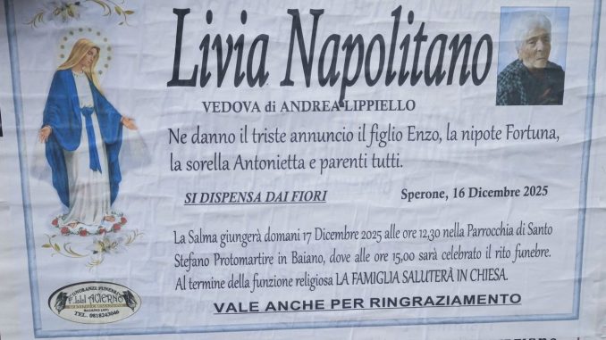 598038943_1557207308646579_7275133855927340724_n