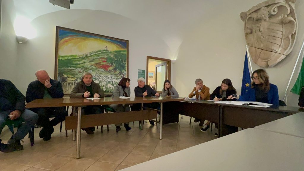 Avella, il consiglio comunale boccia la casa‑albergo per anziani: il sindaco motiva con l’impatto ambientale. Chiara Cacace: la politica è una cosa seria