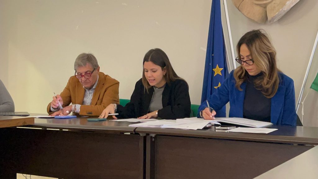 Avella, il consiglio comunale boccia la casa‑albergo per anziani: il sindaco motiva con l’impatto ambientale. Chiara Cacace: la politica è una cosa seria