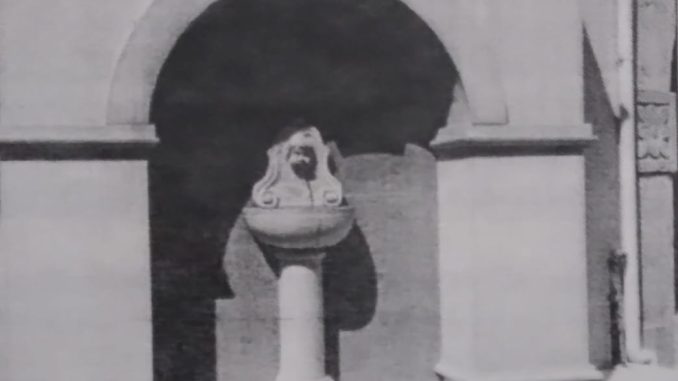 Immagine WhatsApp 2025-12-13 ore 01.24.08_a2d293ca