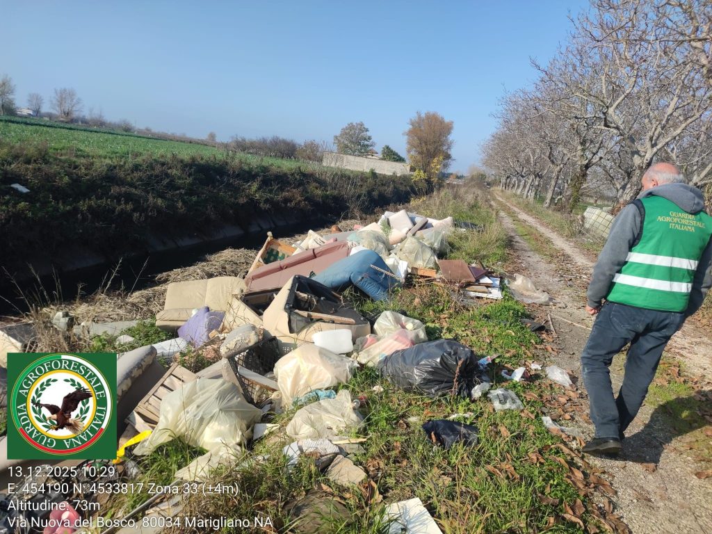 Marigliano, maxi–discarica abusiva lungo il Regi Lagni: la Guardia Agroforestale denuncia un disastro ambientale Marigliano, maxi–discarica abusiva lungo il Regi Lagni: la Guardia Agroforestale denuncia un disastro ambientale