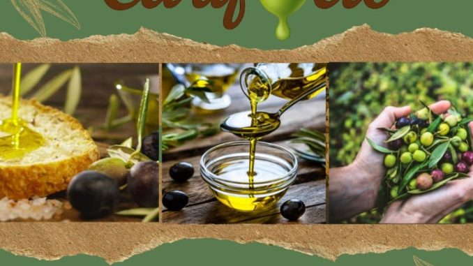 PHOTO-2025-12-01-15-14-48