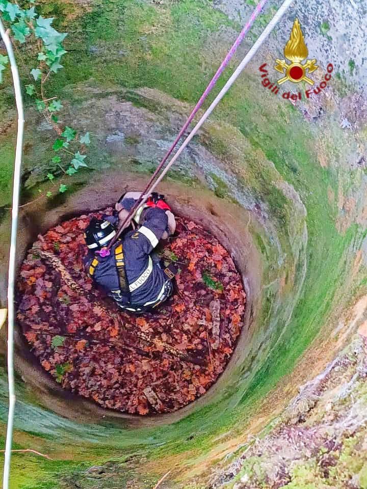 SERINO – I Vigili del Fuoco salvano un cane caduto in un pozzo