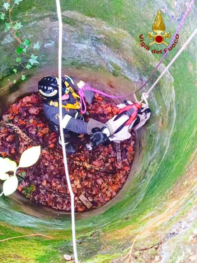 SERINO – I Vigili del Fuoco salvano un cane caduto in un pozzo