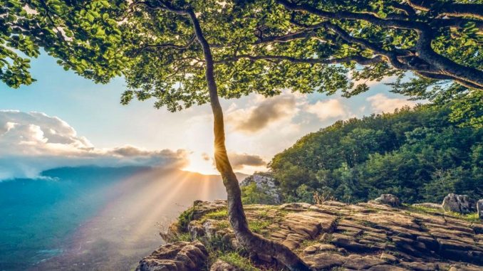 WhatsApp Image 2025-12-07 at 23.31.46