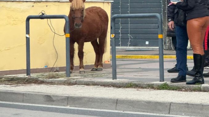 WhatsApp Image 2025-12-11 at 14.00.14