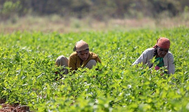 WhatsApp Image 2025-12-11 at 15.05.43