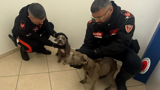 WhatsApp Image 2025-12-11 at 15.13.20