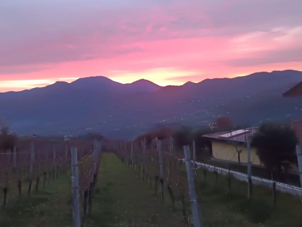 Irpinia Express, tappa a Castelfranci tra cultura, tradizioni e vino