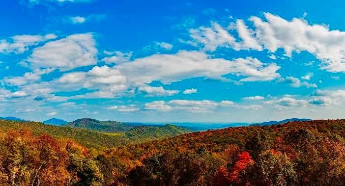 WhatsApp Image 2025-12-11 at 23.07.57