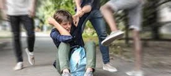 WhatsApp Image 2025-12-12 at 16.49.58