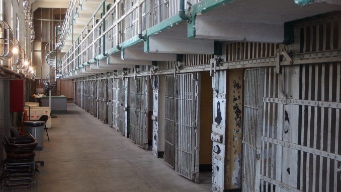 WhatsApp Image 2025-12-12 at 17.15.06