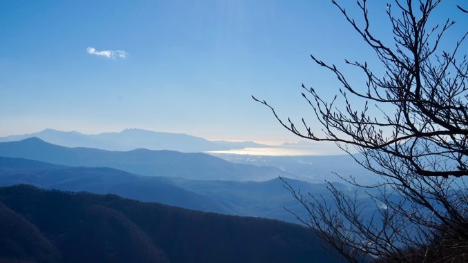 WhatsApp Image 2025-12-20 at 23.52.24