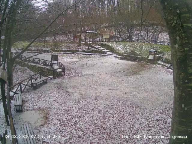 Notte fredda sull’Irpinia: neve oltre i 1300 metri sul Partenio, imbiancate anche al Laceno