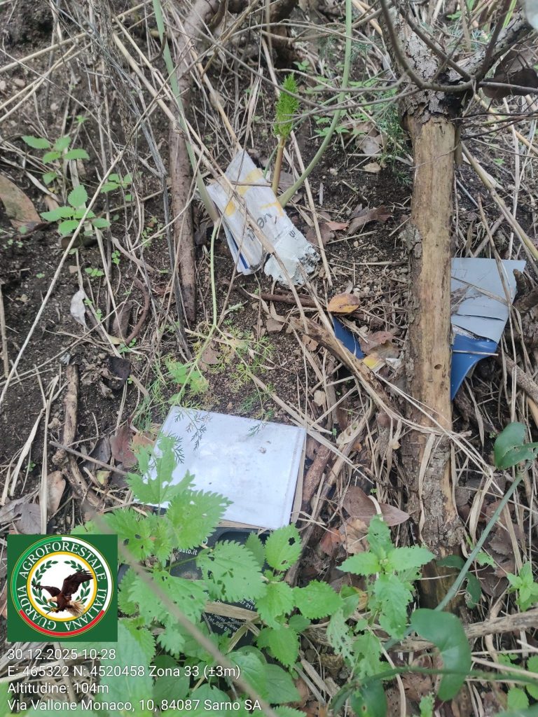 Sarno, ritrovati documenti e targhe di un’auto: intervento dei Carabinieri