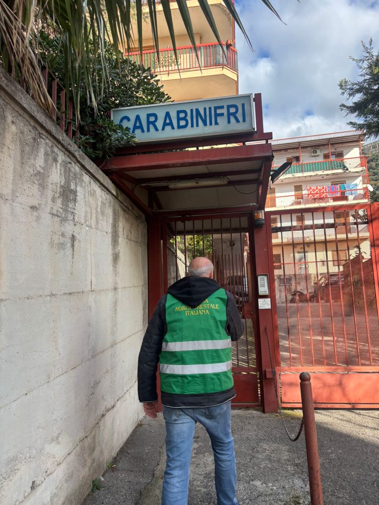 Sarno, ritrovati documenti e targhe di un’auto: intervento dei Carabinieri