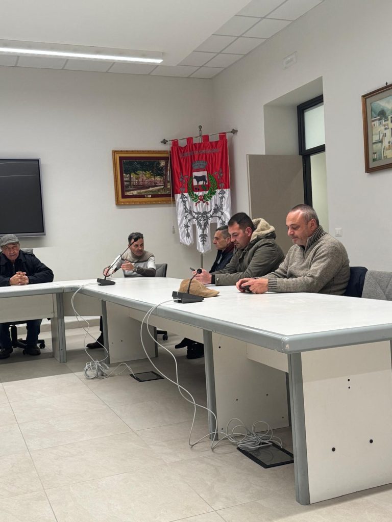 Sirignano, approvato il bilancio di previsione 2026 (foto)