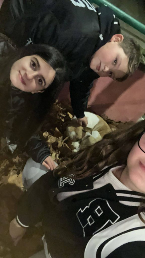 Sperone, un cane speciale in cerca di una vera famiglia Sperone, un cane speciale in cerca di una vera famiglia