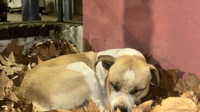 att.MeetlLD64CAG58AldJAGZFNf4j6XInOo6Db66d1lKxM.dat