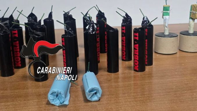 cobra cercola 11.12.25