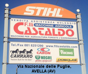 Per la tua pubblicità contattaci al 3393402315