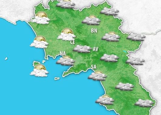 2026-01-22_18_regione4_verdi