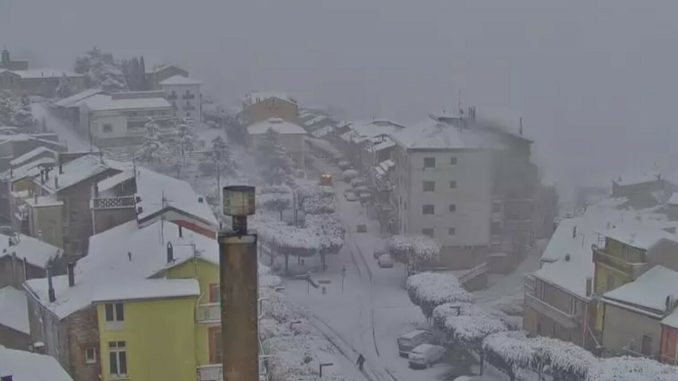 8588912_12120445_immagine_2025_01_12_120439