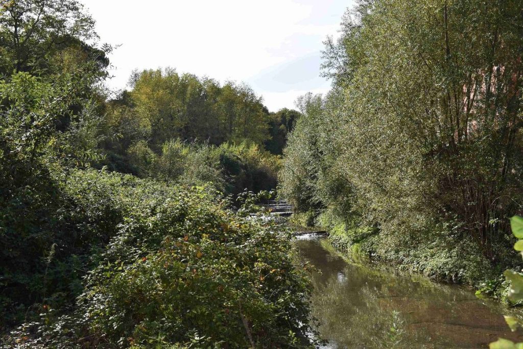 Avellino inaugura l’Urban Center: nuovo spazio per partecipazione, trasparenza e transizione ecologica Avellino inaugura l’Urban Center: nuovo spazio per partecipazione, trasparenza e transizione ecologica